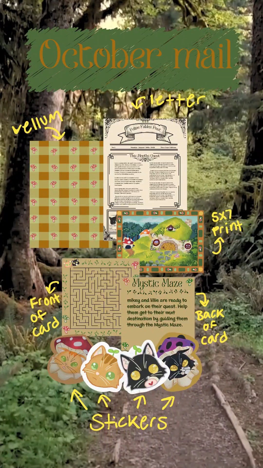 Mail Club (Domestic US)